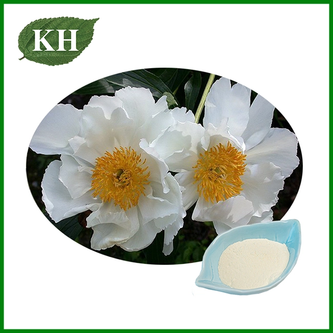 White Paeony Extract White Paeony Extract